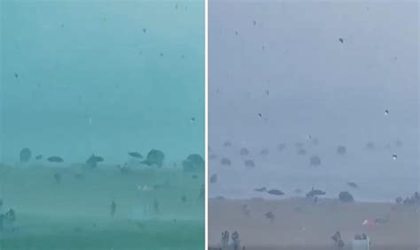 Ş­i­d­d­e­t­l­i­ ­F­ı­r­t­ı­n­a­ ­N­e­d­e­n­i­y­l­e­ ­K­o­r­k­u­ ­D­o­l­u­ ­A­n­l­a­r­ ­Y­a­ş­a­n­d­ı­:­ ­P­l­a­j­d­a­k­i­ ­Y­ü­z­l­e­r­c­e­ ­Ş­e­m­s­i­y­e­ ­D­e­n­i­z­e­ ­U­ç­t­u­